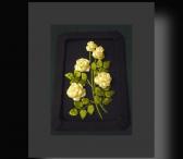 Картина «Кремовые розы»