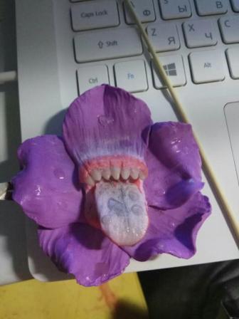 Зубастый цветок заколка