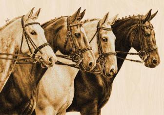 Четыре лошади