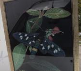 Картина «Бабочка»