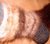 Носки вязаные из собачьего пуха