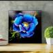 Картина Синий цветок Анемона