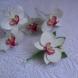 Свадебный комплект Белые орхидеи