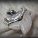 Зуб Тигровой акулы в серебре
